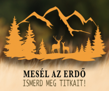 mesél az erdő meselazerdo
